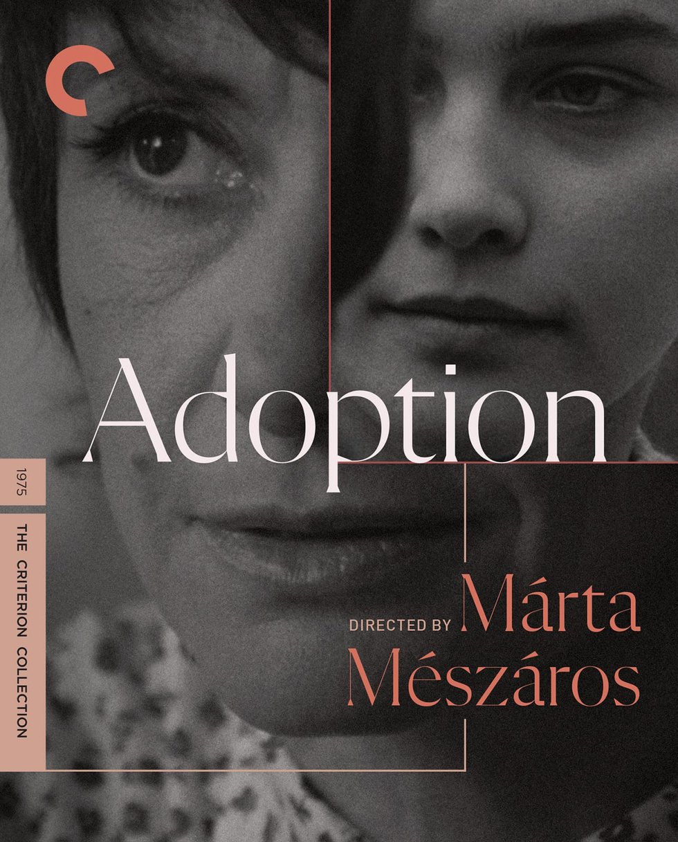 Adoption Poster