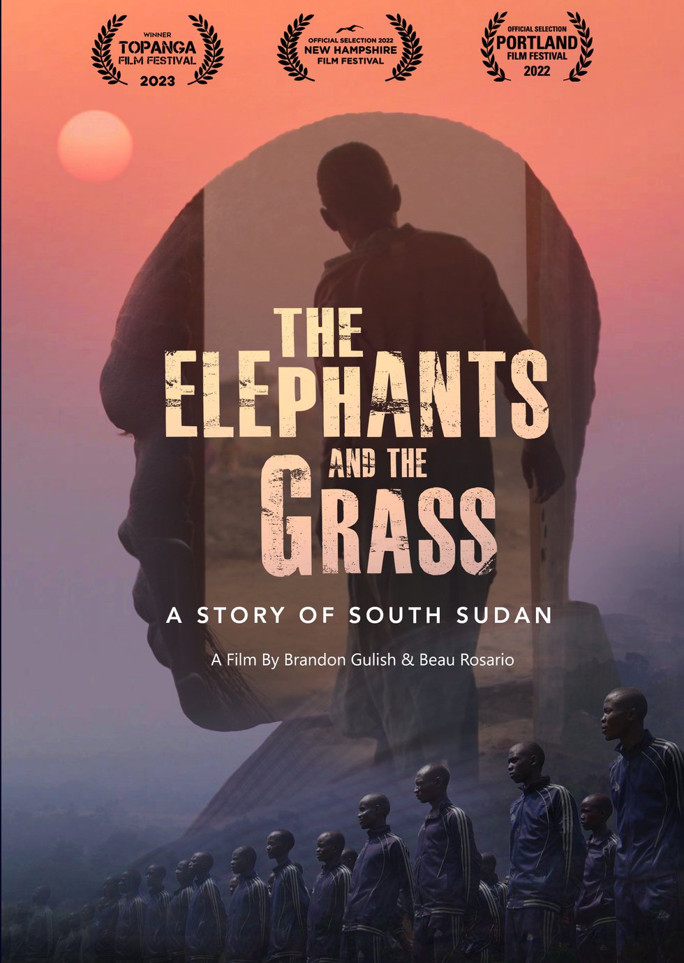 Elephants and the Grass Social Issues Documentary Poster.jpg