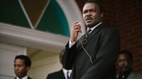 MLK Jr. Day Film Recommendations.jpg