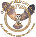 OCI Owl Logo Oct 30 2018.png