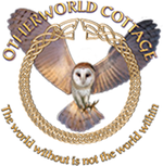 OCI Owl Logo Oct 30 2018.png