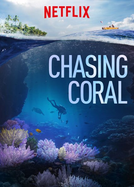 Chasing Coral.jpg