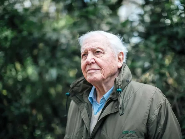 David Attenborough.webp