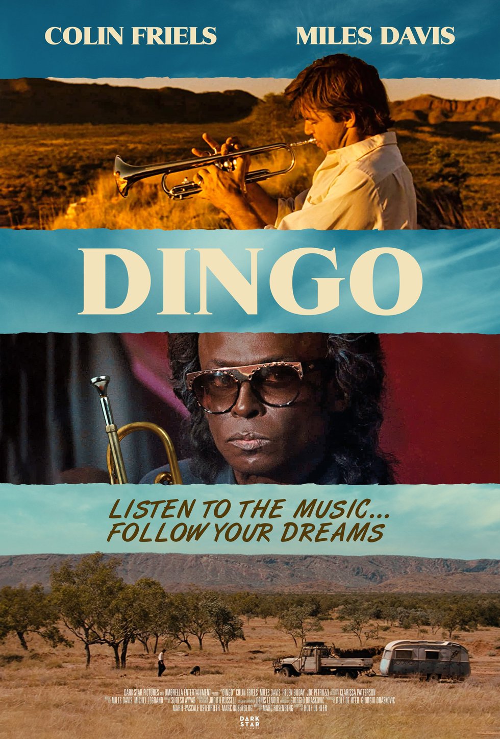 Dingo.jpg