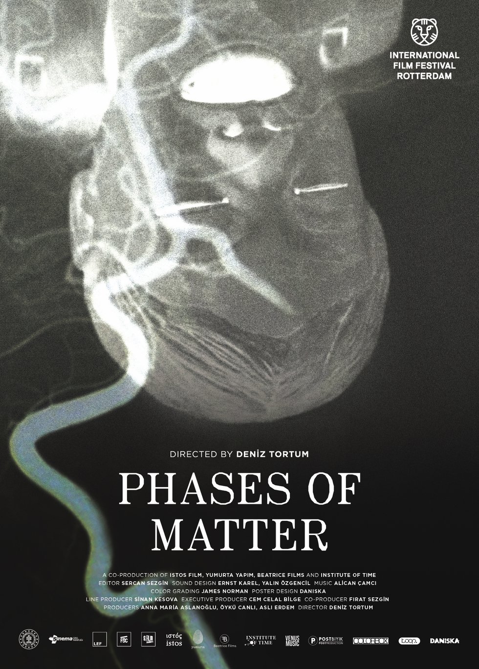 Phases of Matter.jpg