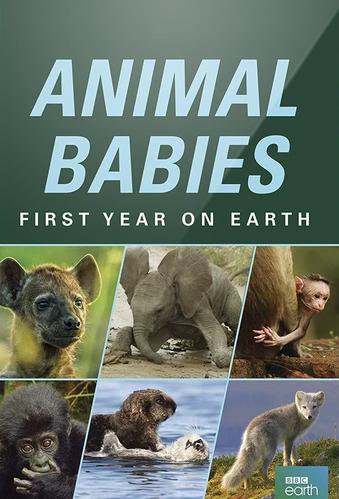 Animal Babies First Year on Earth.jpg
