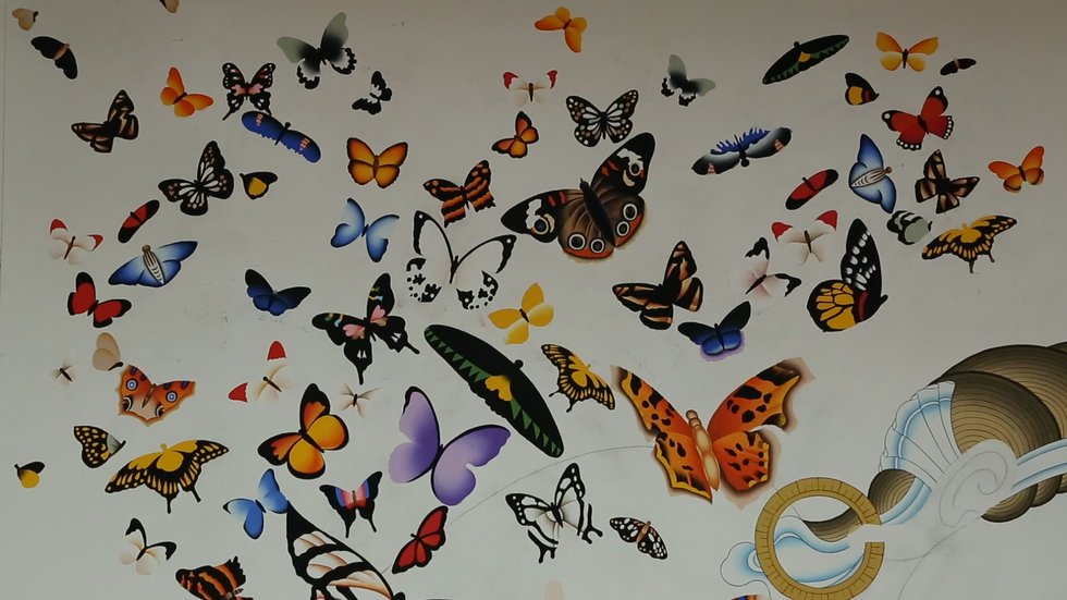 31-CU butterflies.png