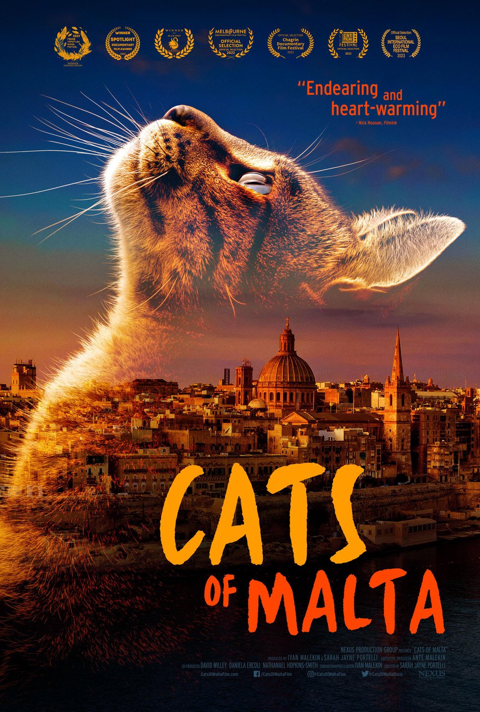 Cats of Malta Animals Film