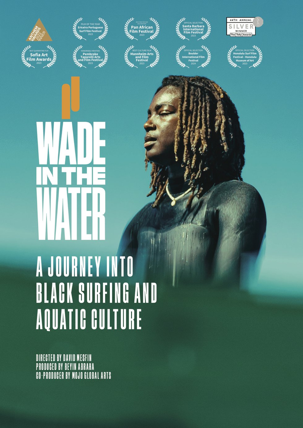 Wade in the Water Sports Documentary